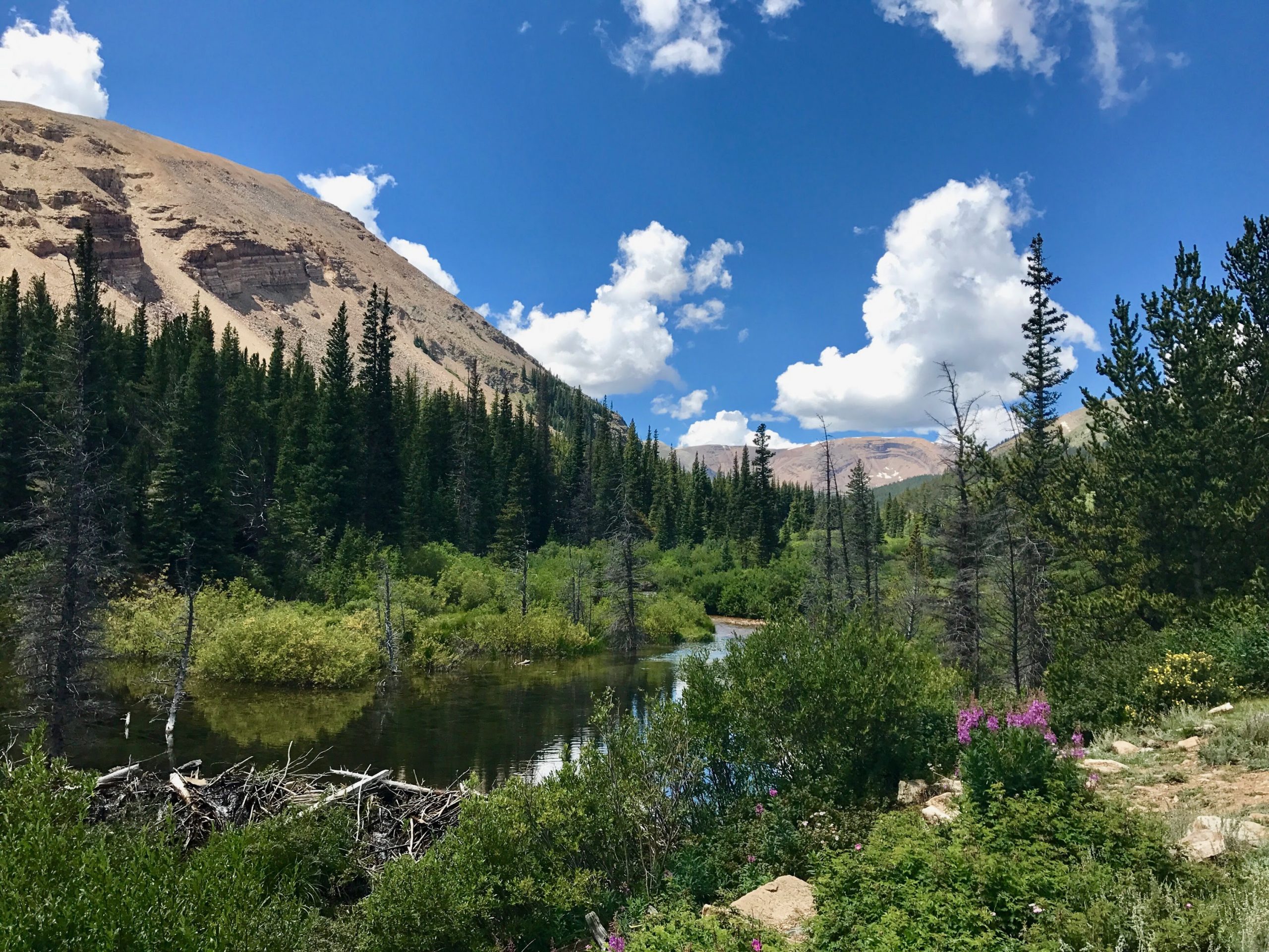 Summer Backcountry Trip - Colorado Mountain School